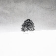 Load image into Gallery viewer, Breath Pack